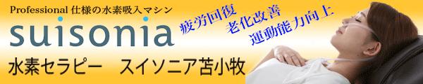 suisoniabanner.gif